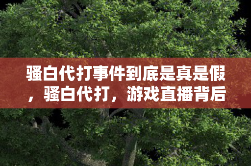 骚白代打事件到底是真是假，骚白代打，游戏直播背后的秘密与争议