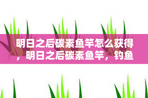 明日之后碳素鱼竿怎么获得，明日之后碳素鱼竿，钓鱼新体验，探索生存之旅