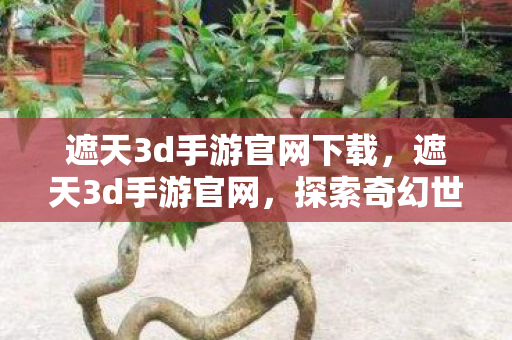 遮天3d手游官网下载，遮天3d手游官网，探索奇幻世界的绝佳平台