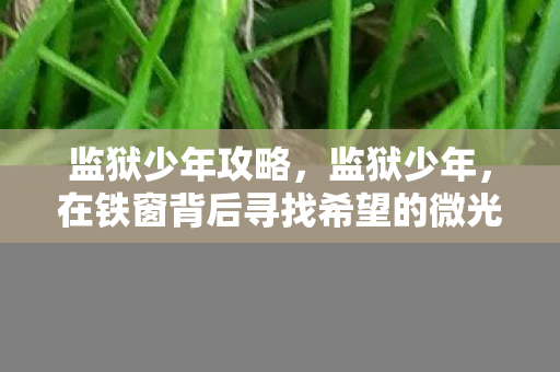 监狱少年攻略,监狱少年,在铁窗背后寻找希望的微光 监狱少年攻略,监狱少年,在铁窗背后寻找希望的微光