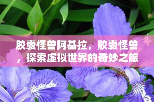 胶囊怪兽阿基拉,胶囊怪兽,探索虚拟世界的奇妙之旅 胶囊怪兽阿基拉,胶囊怪兽,探索虚拟世界的奇妙之旅