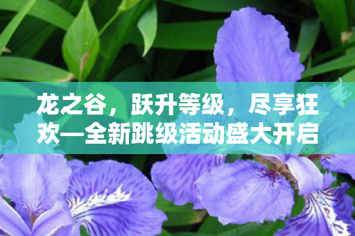 龙之谷，跃升等级，尽享狂欢—全新跳级活动盛大开启