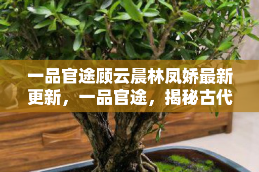 一品官途顾云晨林凤娇最新更新,一品官途,揭秘古代官员的晋升之路 一品官途顾云晨林凤娇最新更新,一品官途,揭秘古代官员的晋升之路