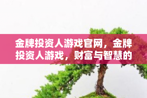 金牌投资人游戏官网，金牌投资人游戏，财富与智慧的碰撞