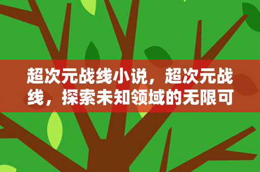 超次元战线小说，超次元战线，探索未知领域的无限可能