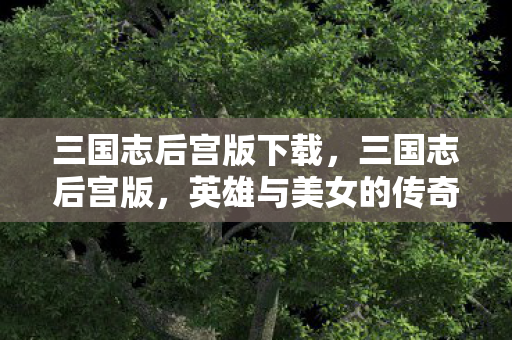 三国志后宫版下载，三国志后宫版，英雄与美女的传奇交织