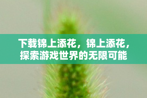 下载锦上添花，锦上添花，探索游戏世界的无限可能