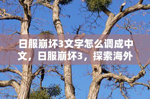 日服崩坏3文字怎么调成中文，日服崩坏3，探索海外版游戏的独特魅力