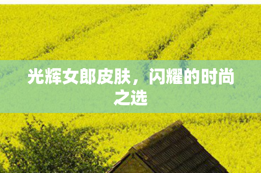 光辉女郎皮肤,闪耀的时尚之选 光辉女郎皮肤,闪耀的时尚之选