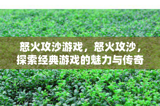 怒火攻沙游戏，怒火攻沙，探索经典游戏的魅力与传奇
