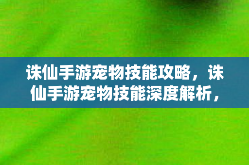 诛仙手游宠物技能攻略，诛仙手游宠物技能深度解析，打造最强战斗伙伴