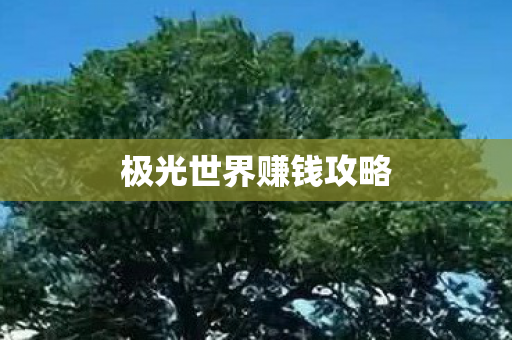 极光世界赚钱攻略 极光世界赚钱攻略