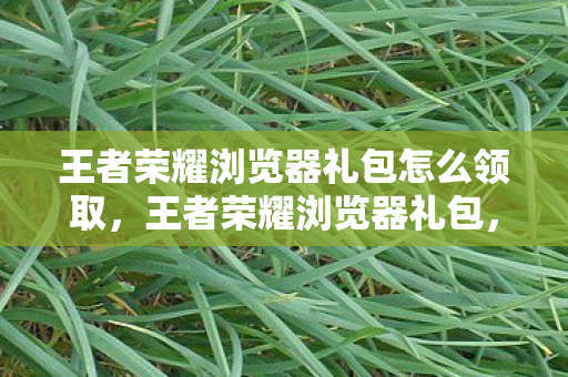 王者荣耀浏览器礼包怎么领取,王者荣耀浏览器礼包,解锁游戏新体验,尽享福利不停歇 王者荣耀浏览器礼包怎么领取,王者荣耀浏览器礼包,解锁游戏新体验,尽享福利不停歇