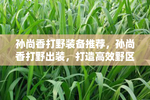 孙尚香打野装备推荐，孙尚香打野出装，打造高效野区统治力