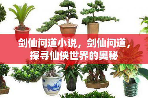 剑仙问道小说，剑仙问道，探寻仙侠世界的奥秘