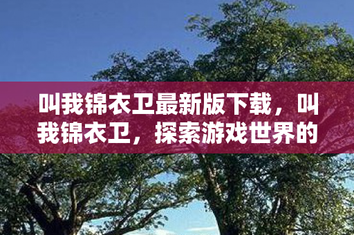 叫我锦衣卫最新版下载，叫我锦衣卫，探索游戏世界的无限可能