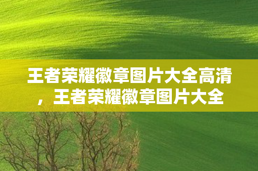 王者荣耀徽章图片大全高清,王者荣耀徽章图片大全 王者荣耀徽章图片大全高清,王者荣耀徽章图片大全