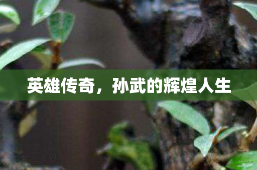 英雄传奇，孙武的辉煌人生