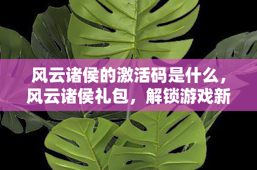 风云诸侯的激活码是什么,风云诸侯礼包,解锁游戏新世界的神秘钥匙 风云诸侯的激活码是什么,风云诸侯礼包,解锁游戏新世界的神秘钥匙