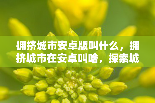 拥挤城市安卓版叫什么,拥挤城市在安卓叫啥,探索城市建造与管理的另类乐趣 拥挤城市安卓版叫什么,拥挤城市在安卓叫啥,探索城市建造与管理的另类乐趣