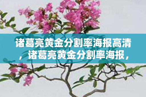 诸葛亮黄金分割率海报高清，诸葛亮黄金分割率海报，智慧与美学的完美融合
