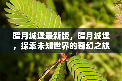 暗月城堡最新版，暗月城堡，探索未知世界的奇幻之旅