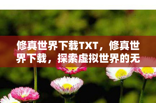 修真世界下载TXT,修真世界下载,探索虚拟世界的无限可能 修真世界下载TXT,修真世界下载,探索虚拟世界的无限可能