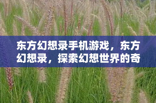 东方幻想录手机游戏，东方幻想录，探索幻想世界的奇妙之旅