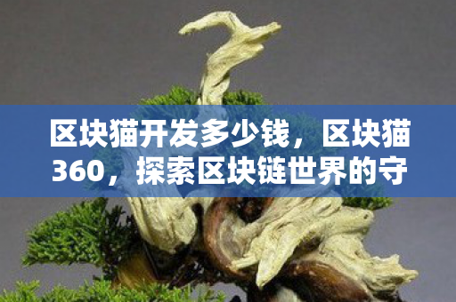 区块猫开发多少钱，区块猫360，探索区块链世界的守护者