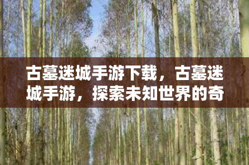 古墓迷城手游下载，古墓迷城手游，探索未知世界的奇幻之旅