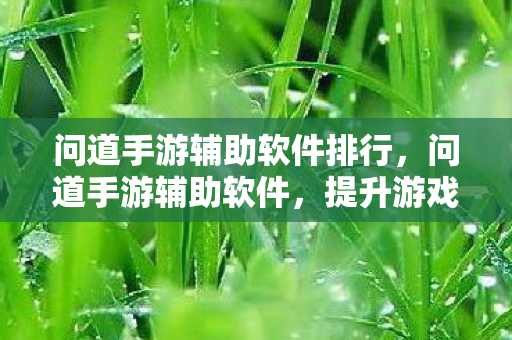 问道手游辅助软件排行，问道手游辅助软件，提升游戏体验的利器