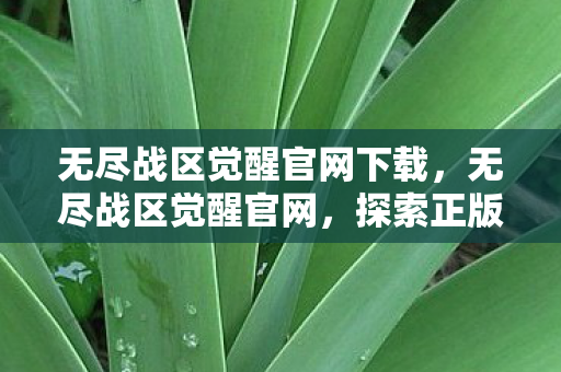 无尽战区觉醒官网下载,无尽战区觉醒官网,探索正版游戏体验的无限可能 无尽战区觉醒官网下载,无尽战区觉醒官网,探索正版游戏体验的无限可能