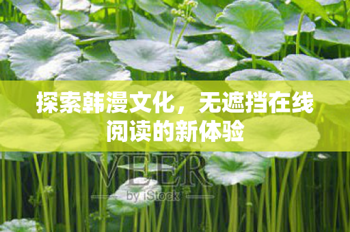 探索韩漫文化，无遮挡在线阅读的新体验