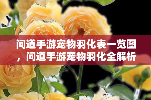 问道手游宠物羽化表一览图,问道手游宠物羽化全解析,提升战力,打造最强宠物! 问道手游宠物羽化表一览图,问道手游宠物羽化全解析,提升战力,打造最强宠物!