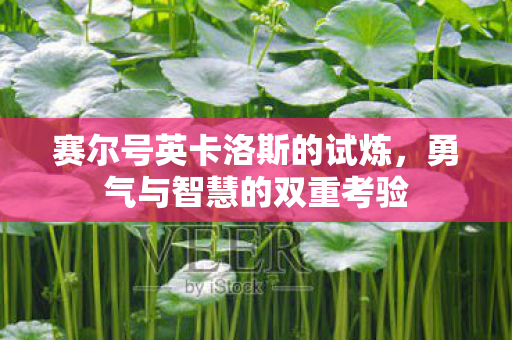 赛尔号英卡洛斯的试炼，勇气与智慧的双重考验