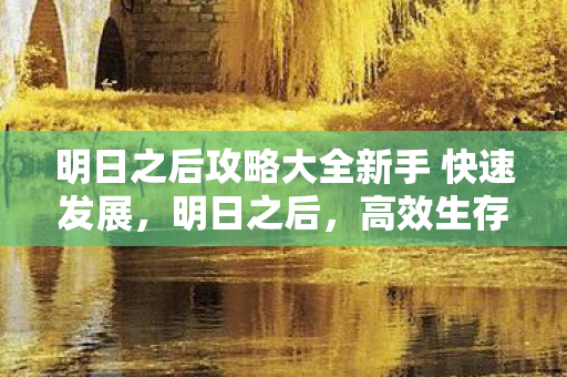 明日之后攻略大全新手 快速发展，明日之后，高效生存与建设攻略