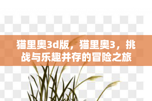 猫里奥3d版，猫里奥3，挑战与乐趣并存的冒险之旅