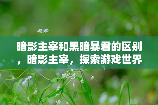 暗影主宰和黑暗暴君的区别，暗影主宰，探索游戏世界的另一面