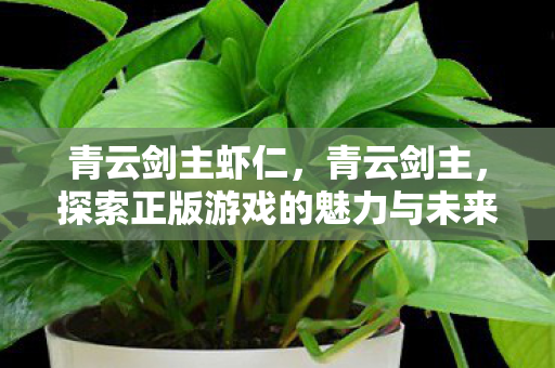 青云剑主虾仁，青云剑主，探索正版游戏的魅力与未来