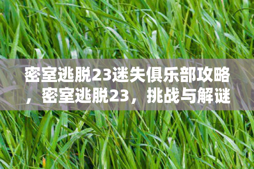 密室逃脱23迷失俱乐部攻略,密室逃脱23,挑战与解谜的极致体验 密室逃脱23迷失俱乐部攻略,密室逃脱23,挑战与解谜的极致体验