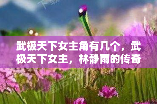 武极天下女主角有几个，武极天下女主，林静雨的传奇之路