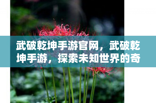 武破乾坤手游官网,武破乾坤手游,探索未知世界的奇幻之旅 武破乾坤手游官网,武破乾坤手游,探索未知世界的奇幻之旅