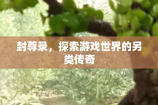 封尊录，探索游戏世界的另类传奇