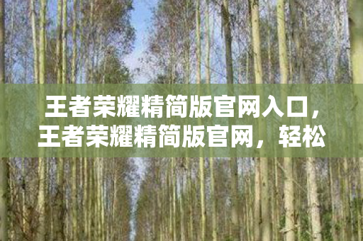 王者荣耀精简版官网入口,王者荣耀精简版官网,轻松畅玩,不减乐趣 王者荣耀精简版官网入口,王者荣耀精简版官网,轻松畅玩,不减乐趣