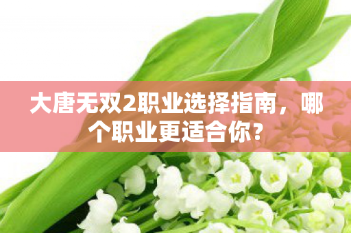 大唐无双2职业选择指南，哪个职业更适合你？