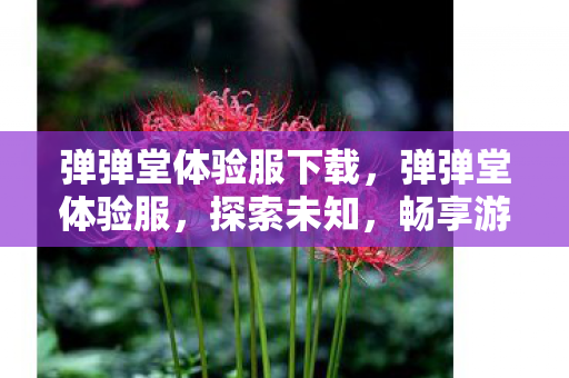 弹弹堂体验服下载,弹弹堂体验服,探索未知,畅享游戏新体验 弹弹堂体验服下载,弹弹堂体验服,探索未知,畅享游戏新体验