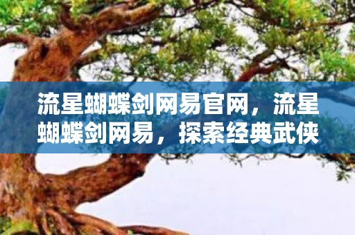 流星蝴蝶剑网易官网，流星蝴蝶剑网易，探索经典武侠世界的独特魅力