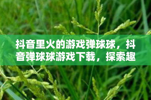 抖音里火的游戏弹球球,抖音弹球球游戏下载,探索趣味休闲新体验 抖音里火的游戏弹球球,抖音弹球球游戏下载,探索趣味休闲新体验