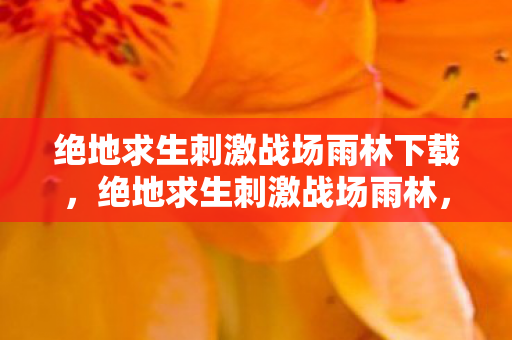 绝地求生刺激战场雨林下载，绝地求生刺激战场雨林，探索热带雨林的生存挑战