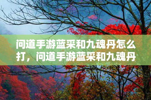 问道手游蓝采和九魂丹怎么打，问道手游蓝采和九魂丹，提升战斗力的神秘丹药